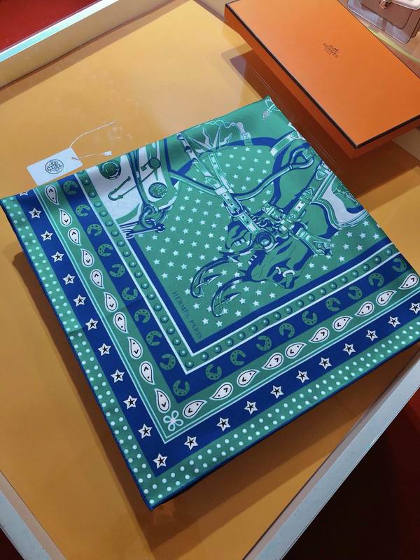 Hermes silk scarf 90X90cm E06 (2)